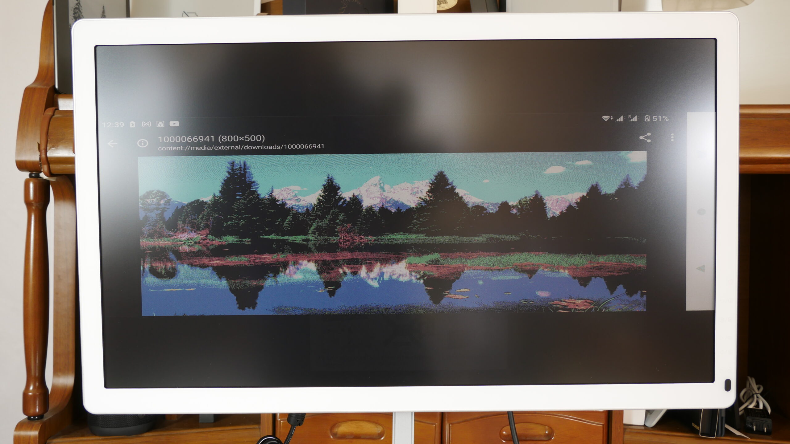 Bigme B251 Color E Ink Kaleido 3 Monitor: A Review