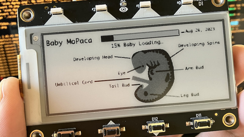 AN E-INK PROGRESS BAR FOR YOUR UNBORN CHILD