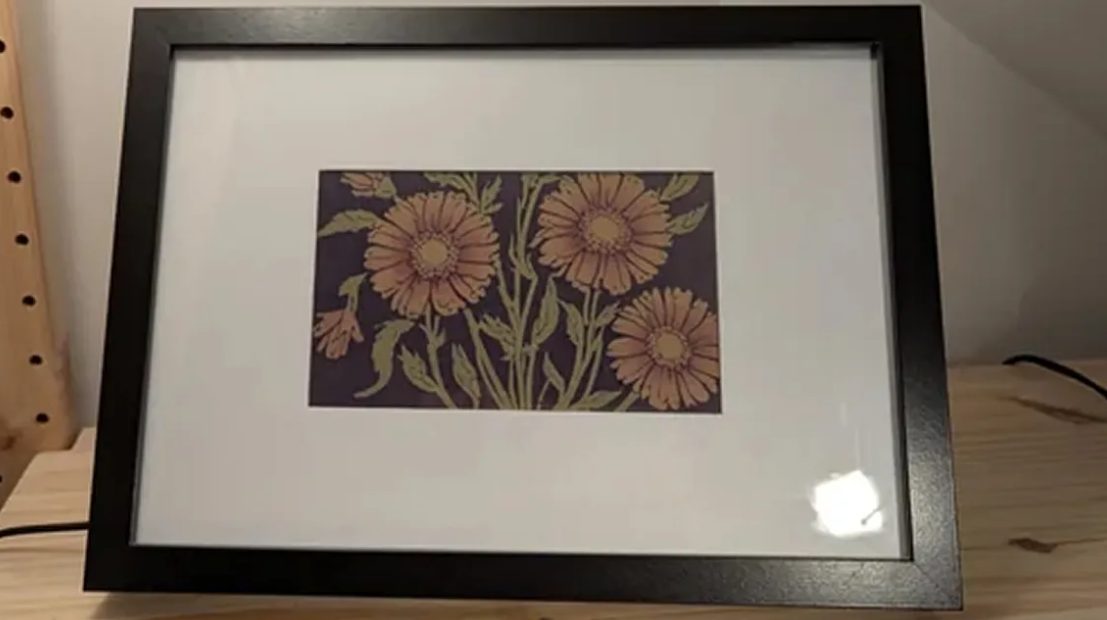 Raspberry Pi Zero 2 W uses AI to make infinite flower paintings on an e-ink display