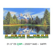 31.5” E6 QSPI – 2560*1440 –  94PPI