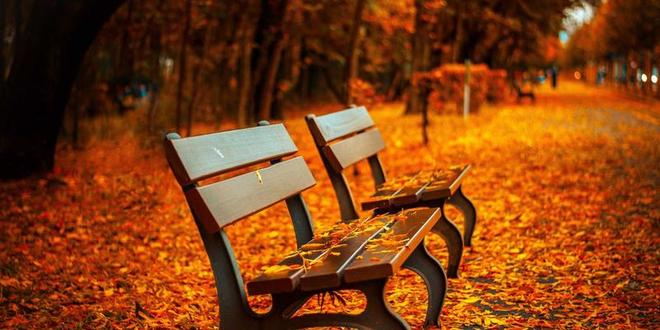 电子纸干了20年，终于轮到这公司排队上市了