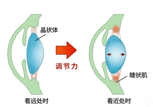 看屏幕和纸质书，哪个对眼睛更好？