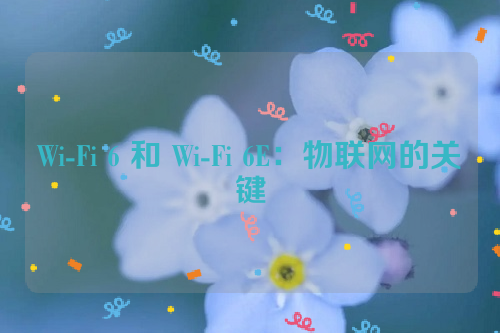 Wi-Fi 6 和 Wi-Fi 6E：物联网的关键