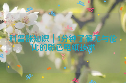 科普涨知识｜3分钟了解无与伦比的彩色电纸技术