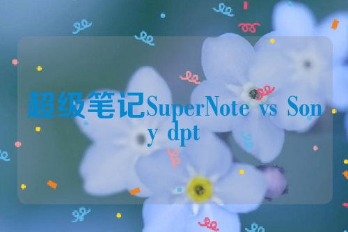 超级笔记SuperNote vs Sony dpt